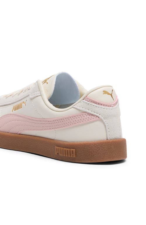Puma Club Ii Era Sneaker In Alpine Snow-rose Quartz-gum