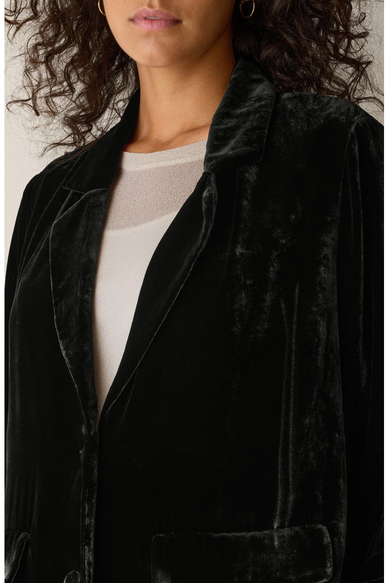 Velvet Long Blazer, Alternate, color, BLACK