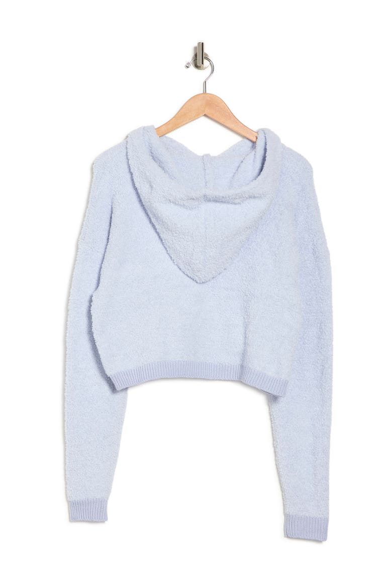 Teddy Fuzzy Hoodie, Main, color, HEATHER