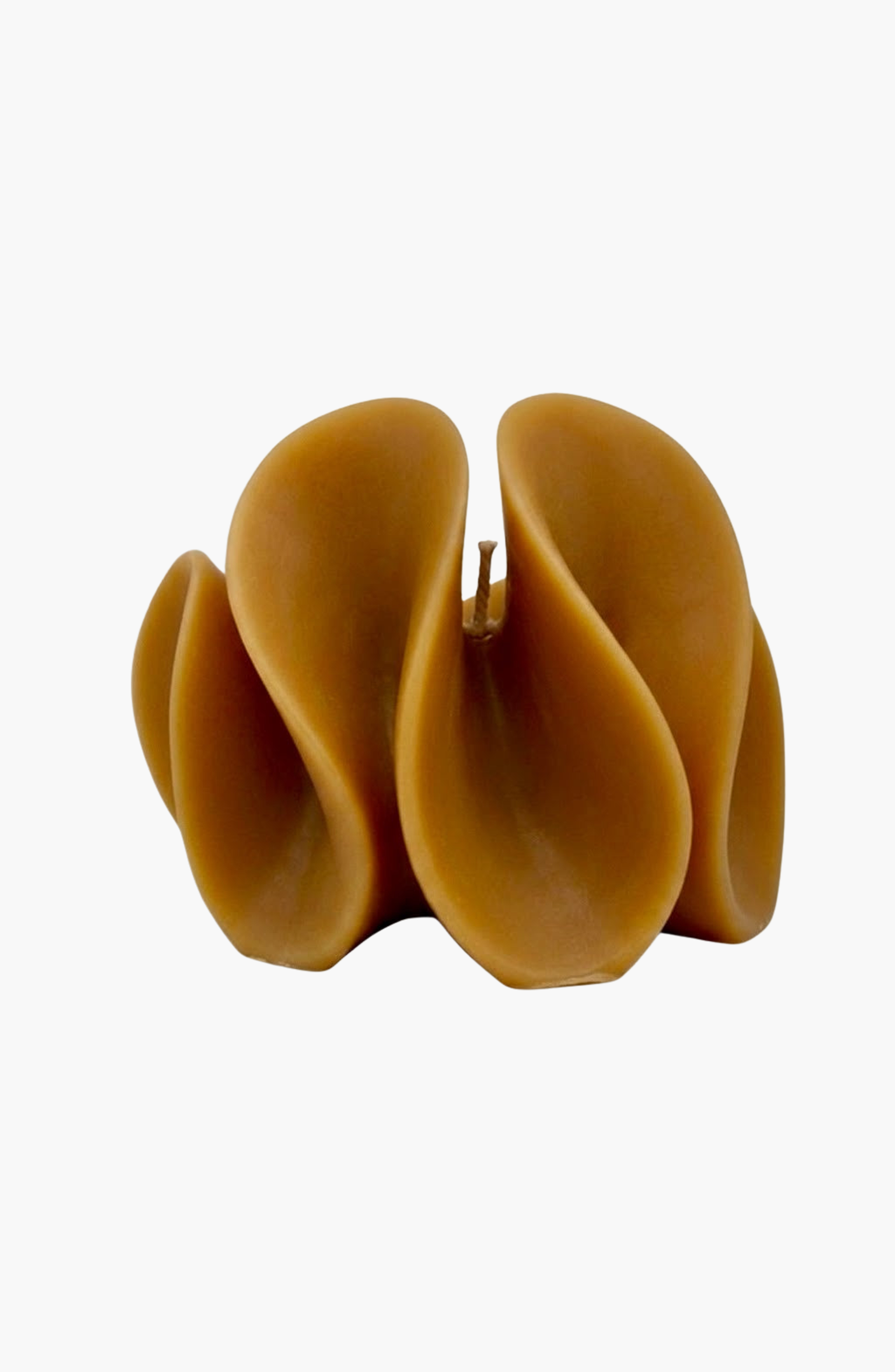 selected Cognac