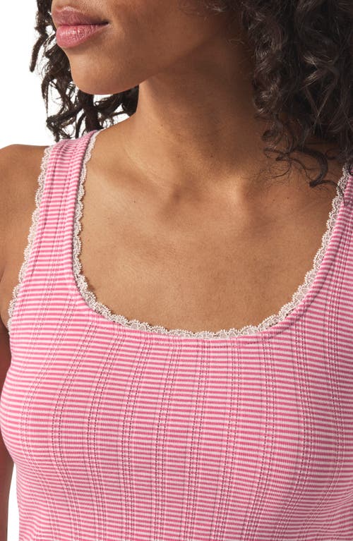 Splendid Pointelle Tank