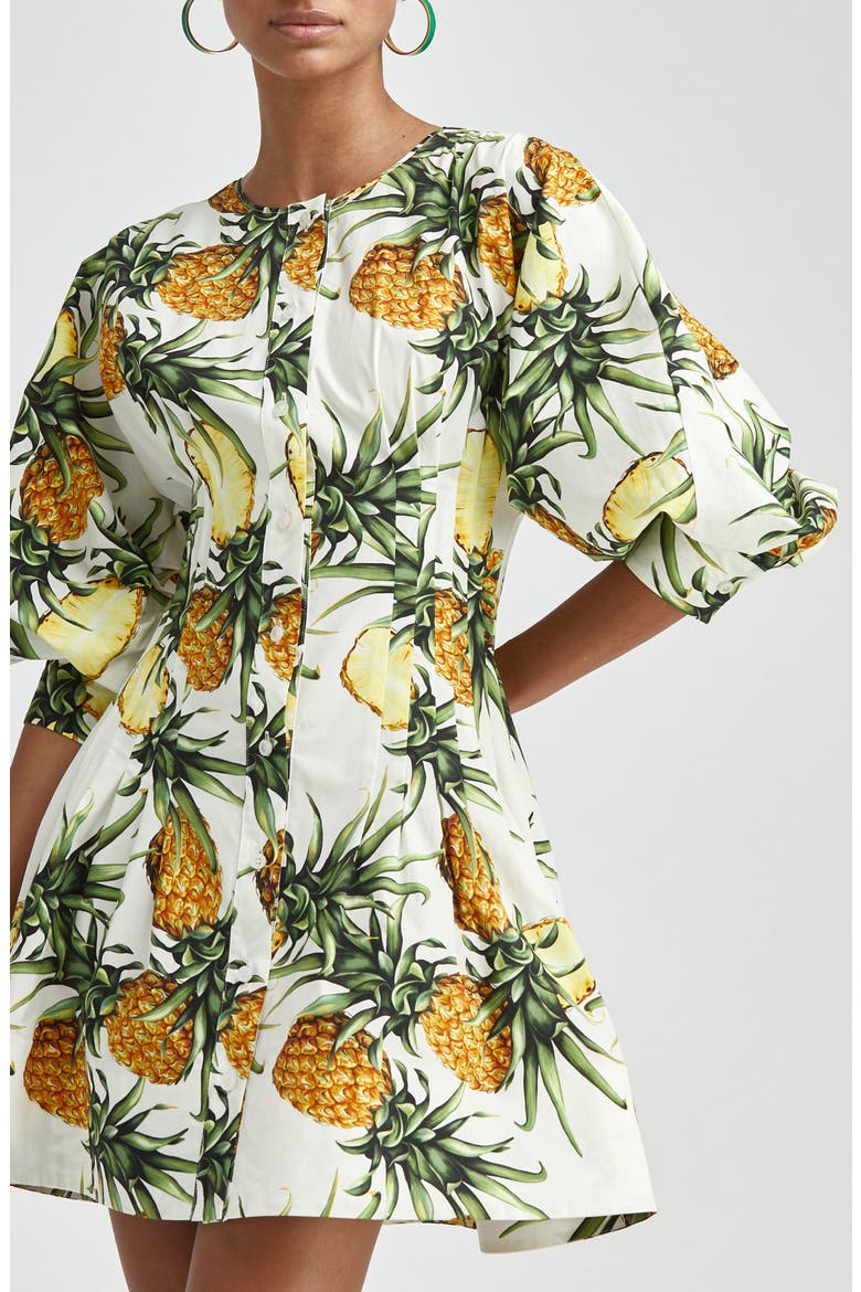 Pineapple A-Line Poplin Dress, Alternate, color, IVORY MULTI