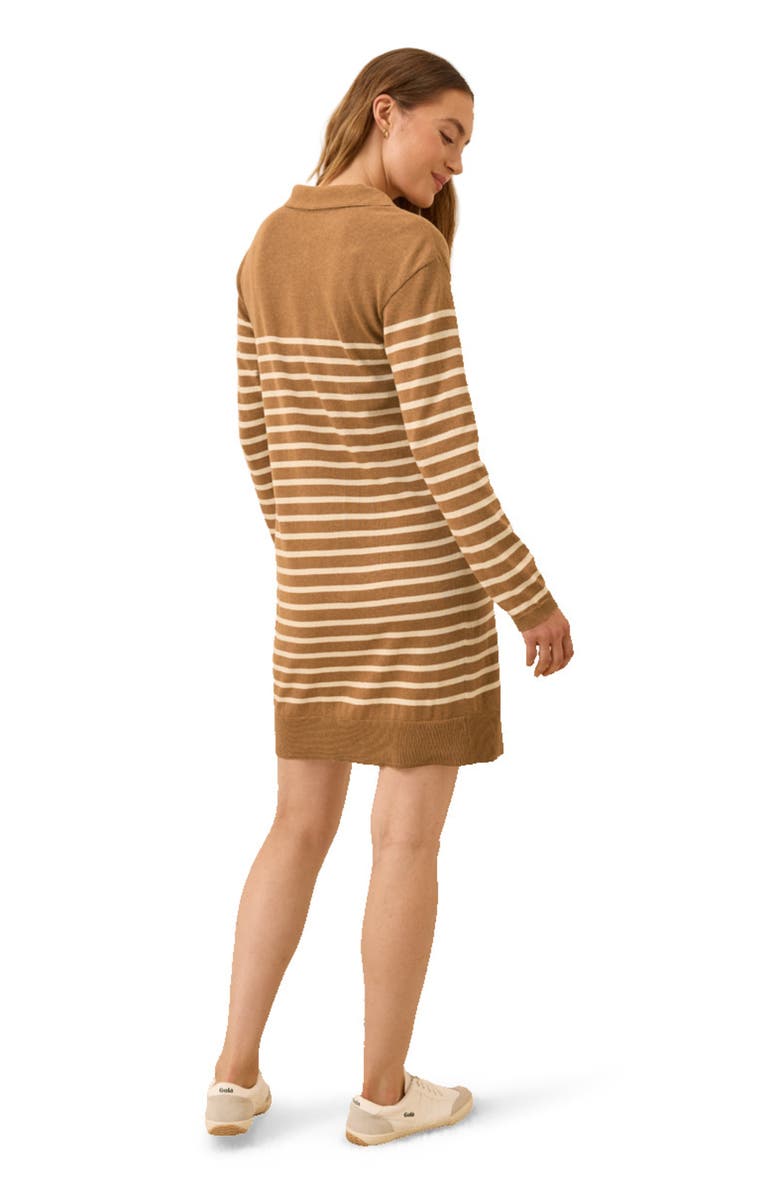 Pact Organic Cotton Classic Fine Knit Collared Sweater Dress, Alternate, color, Del Norte Stripe