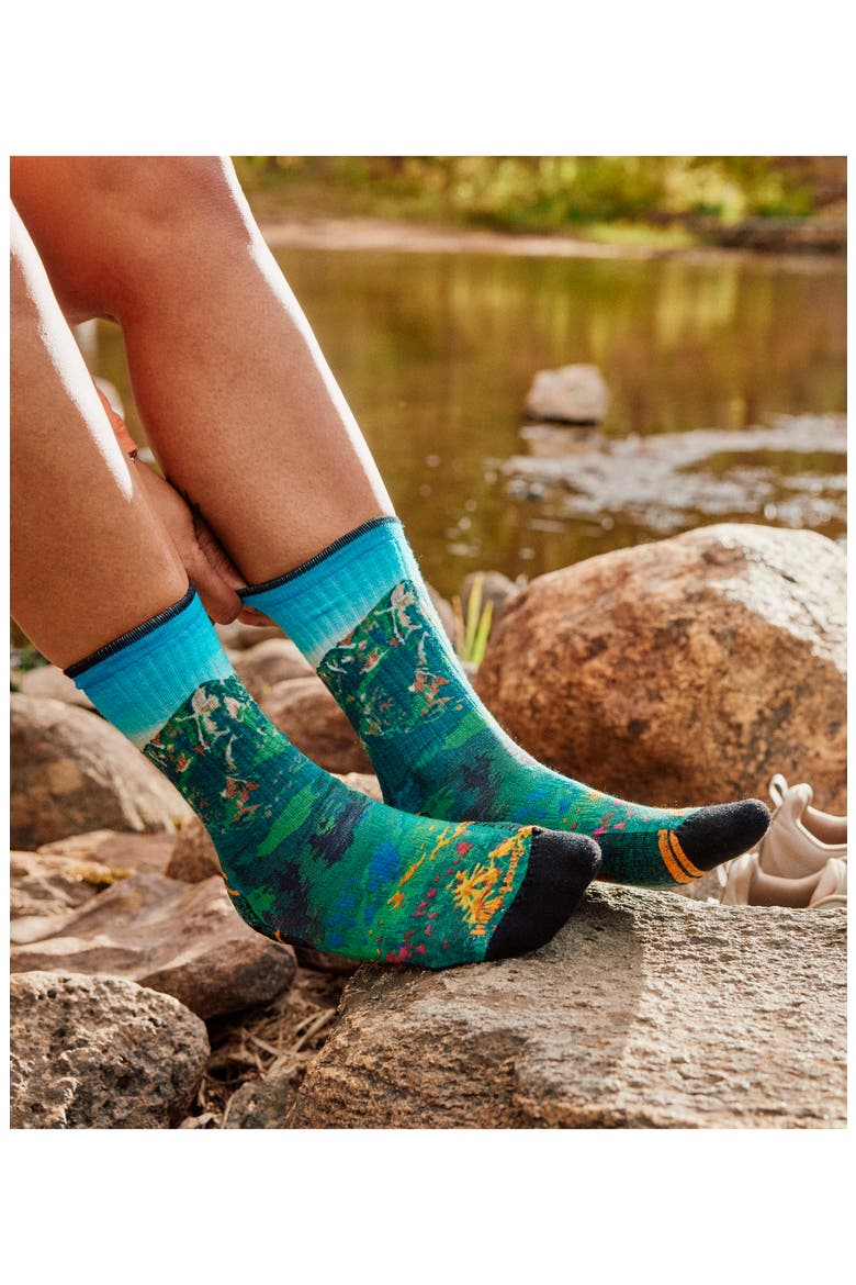 Smartwool Hike Targeted Cushion Mountain Lake Crew Socks (Women ...