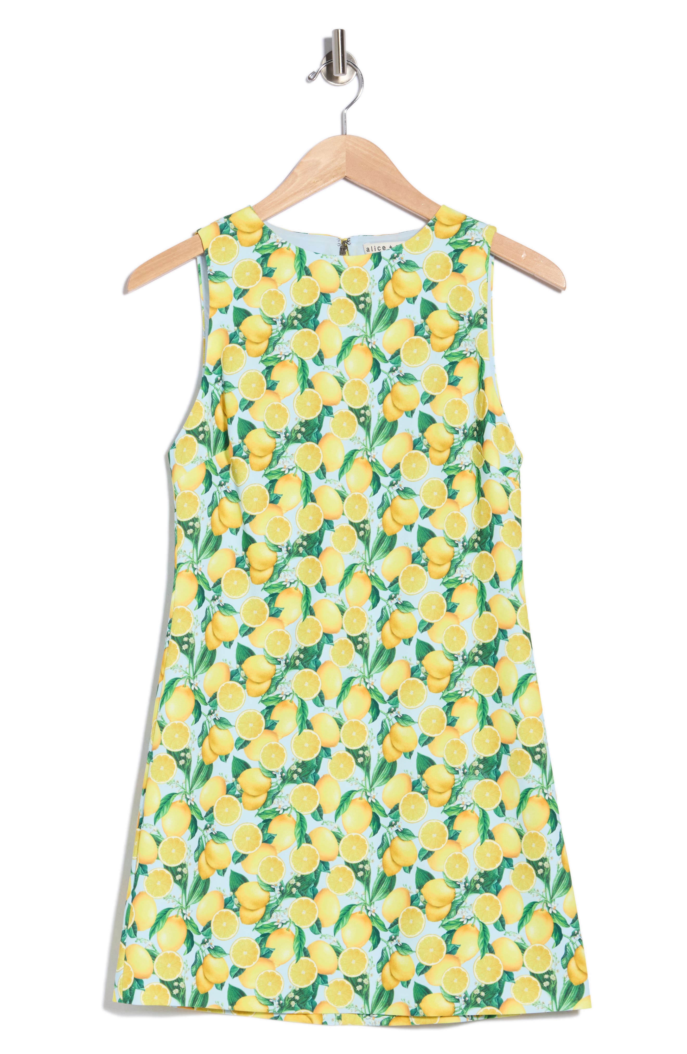 Clyde A-Line Shift Dress