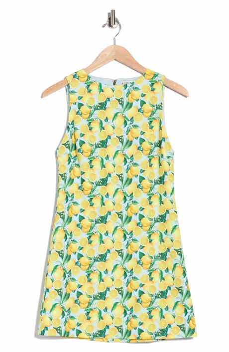 Clyde A-Line Shift Dress