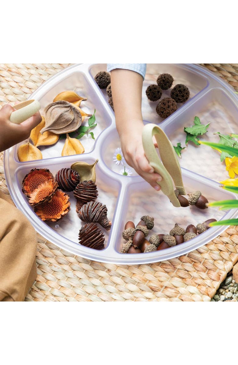 Kaplan Early Learning Company Loose Parts Sorting Trays - Set of 4 - Clear, Alternate, color, Clear