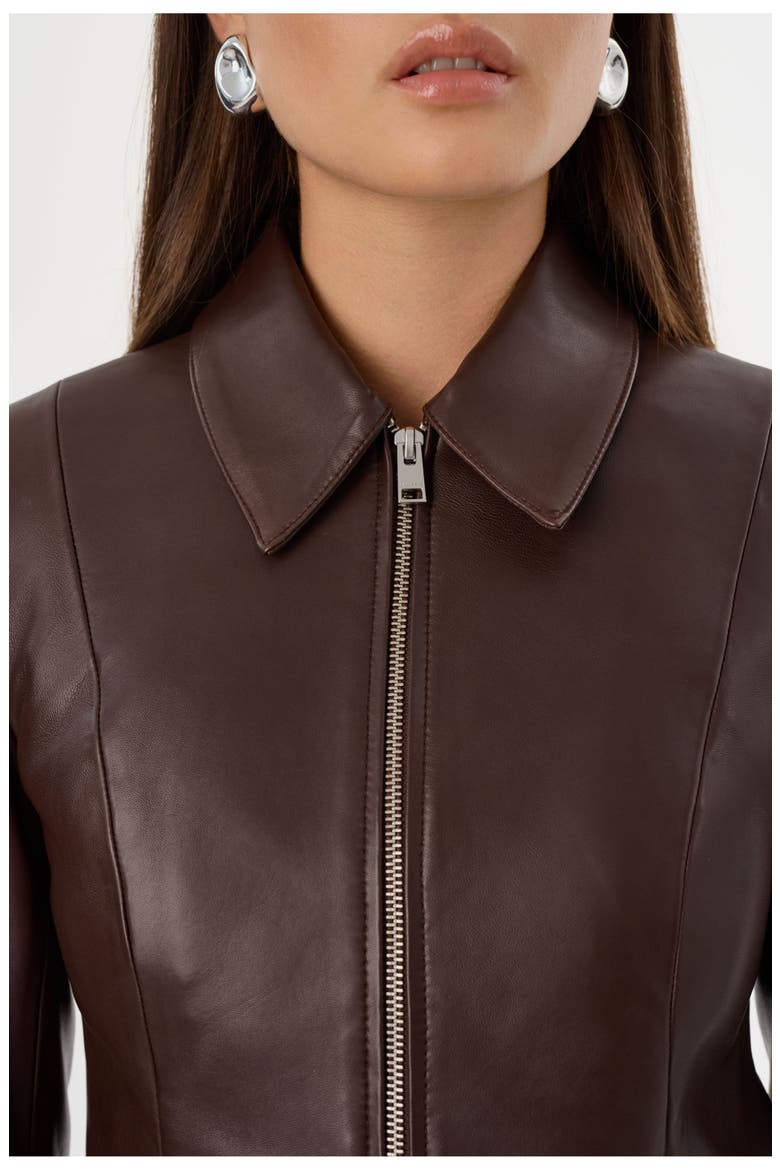 Oceana | Fitted Leather Jacket, Alternate, color, Mahogany