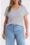  White- Black Elizabeth Stripe
