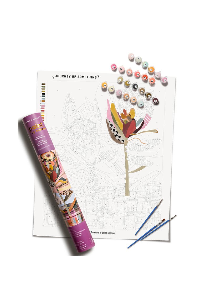 Paint By Numbers, Two Proteas, DIY Painting Craft Kit, Main, color, Multicolored