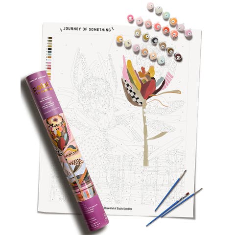 Paint By Numbers, Two Proteas, DIY Painting Craft Kit