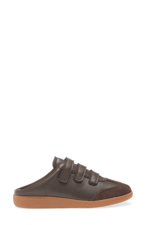 Steve Madden Memento Sneaker In Brown