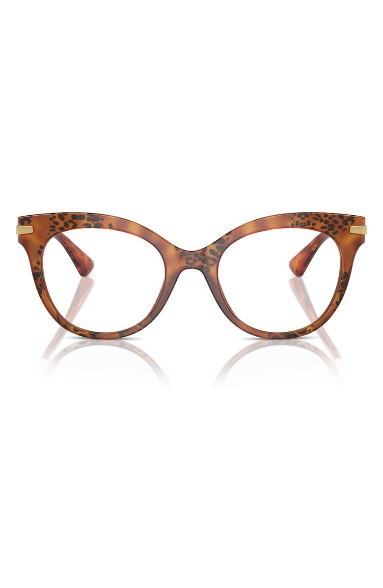 Dolce&Gabbana 52mm Butterfly Optical Glasses, Main, color, Havana