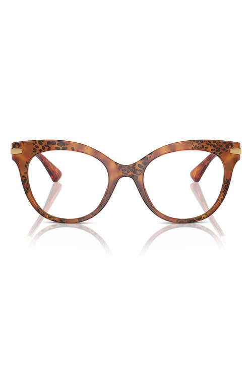 Dolce & Gabbana Eyewear In Havana