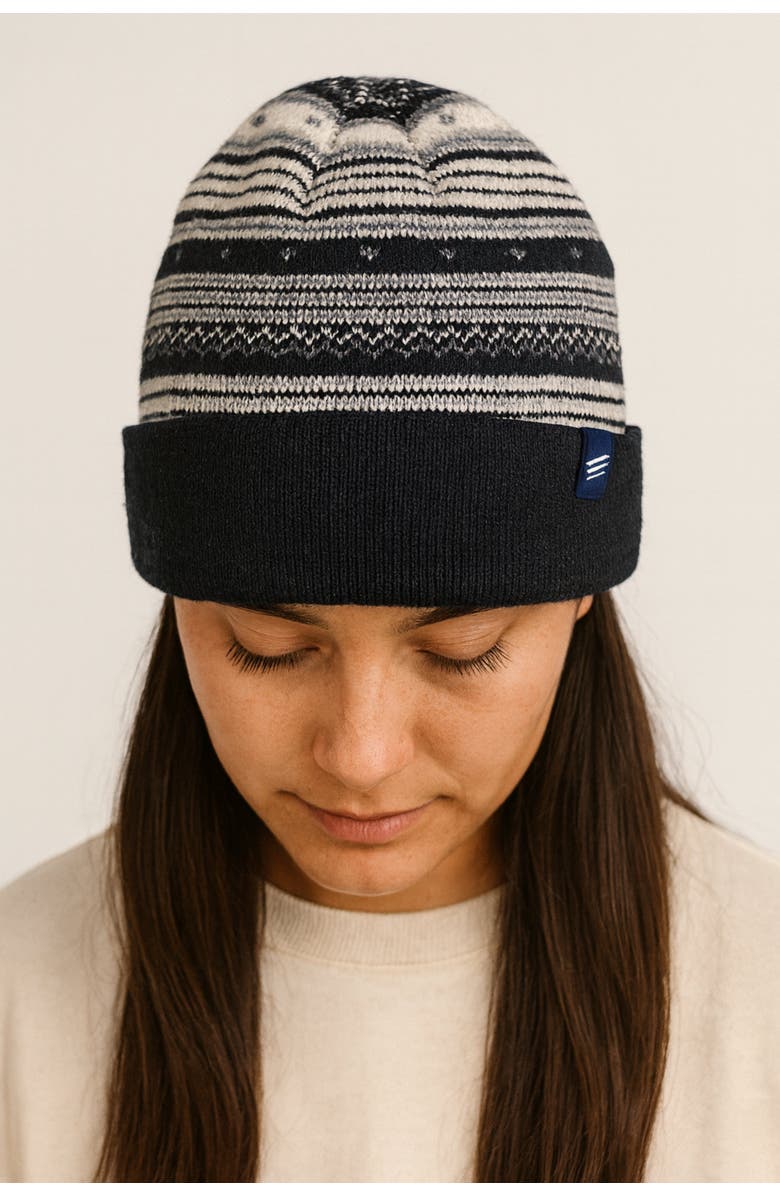 United By Blue Merino Wool Modern Fair Isle Knit Beanie, Alternate, color, Black