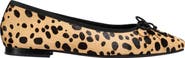 MARGAUX The Fonteyn Flat