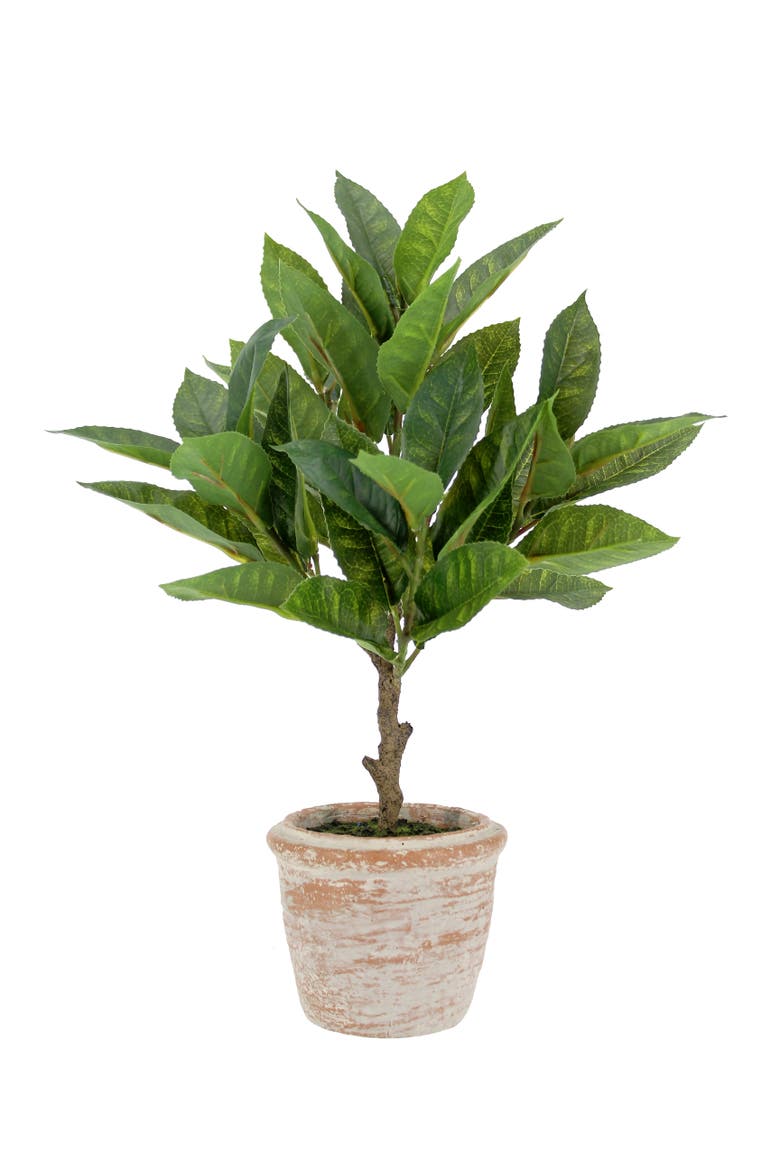 10" Eucalyptus and 16" Citrus Faux Topiary Set, Alternate, color, Green