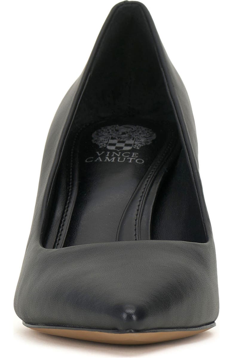 Vince Camuto Kehlia Pointed Toe Pump, Alternate, color,