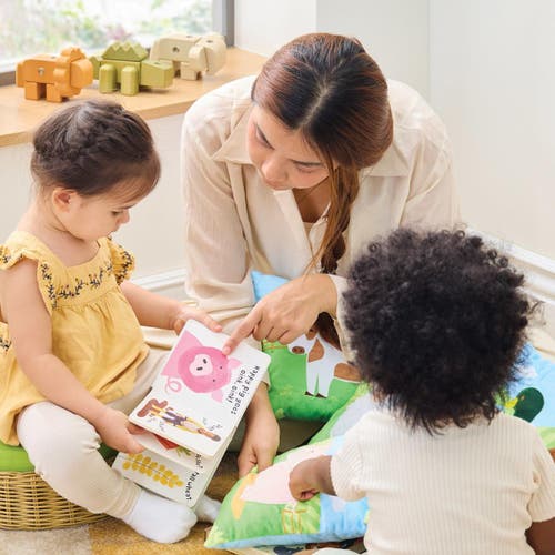 Kaplan Early Learning Company Farm Animal Pillows In Multi