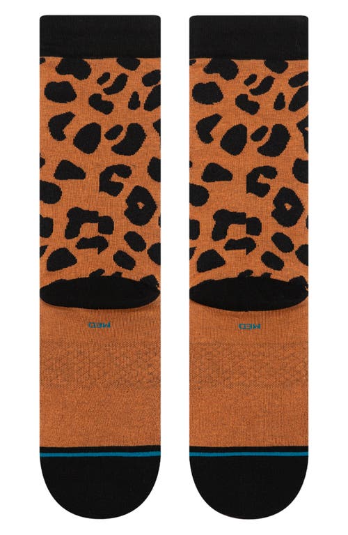 Stance Light Cushion Crew Socks In Black/brown