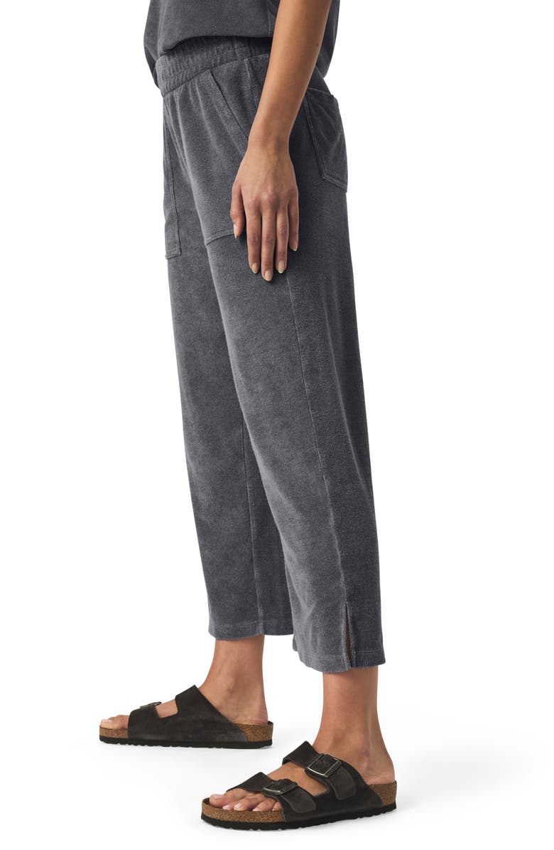 Splendid Taryn Terry Crop Pants, Alternate, color, Ink