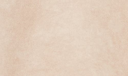 Bcbgeneration Faux Shearling Lined Faux Suede Coat In Neutral