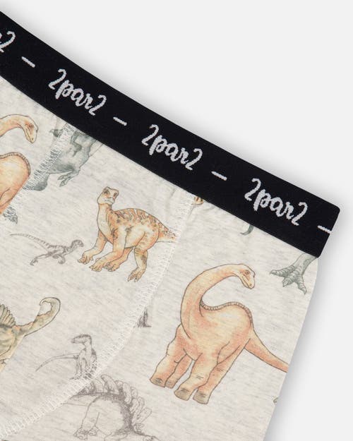 Deux Par Deux Boy's Printed Organic Cotton Boxer Shorts Dinosaur On Mottled And Tan Background In Dinosaur On Mottled And Tan