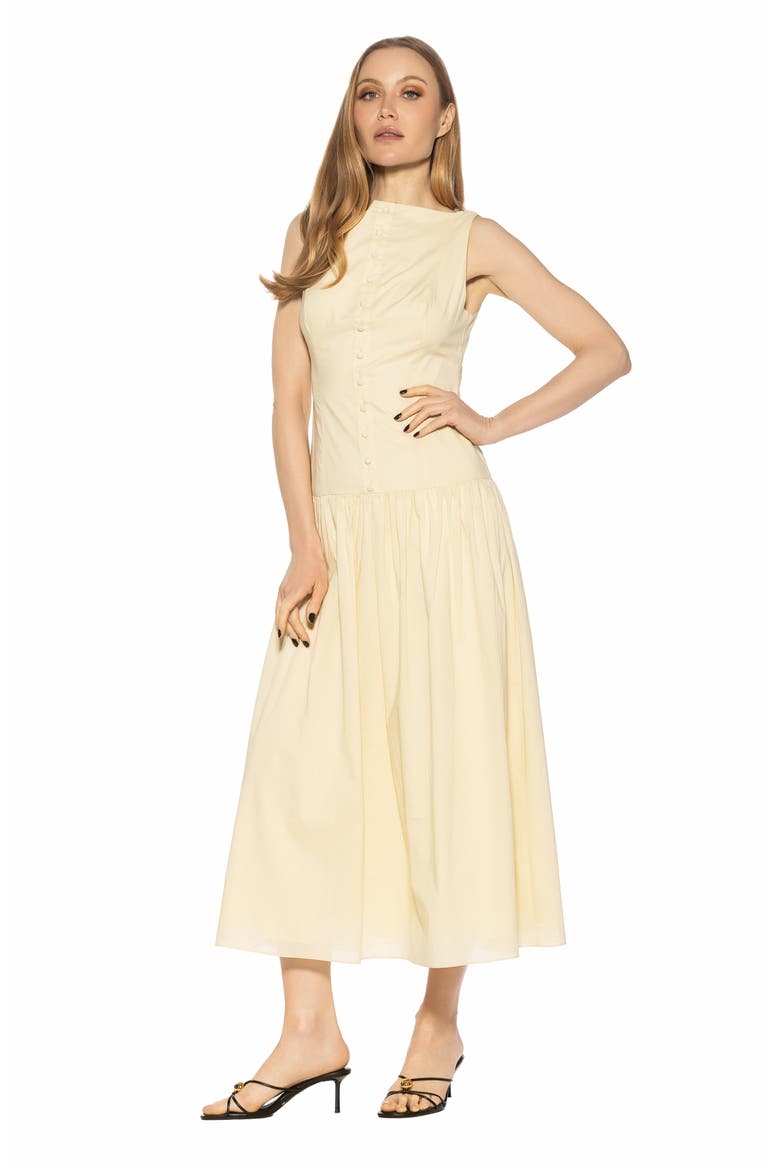 Solenne Mixed Media Dress, Alternate, color, BEIGE