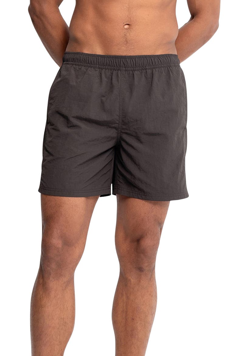 Sebastian Solid 5.5-Inch Nylon Swim Trunks, Main, color, MOLINO/ BROWN
