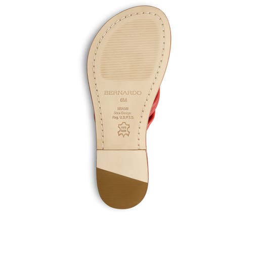 BERNARDO FOOTWEAR BERNARDO FOOTWEAR MIAMI THONG SANDAL