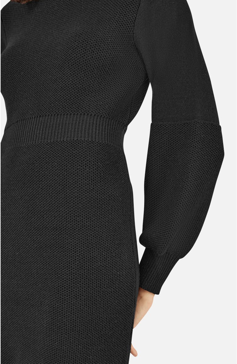Yumi Roll Neck Knitted Dress, Alternate, color, Black