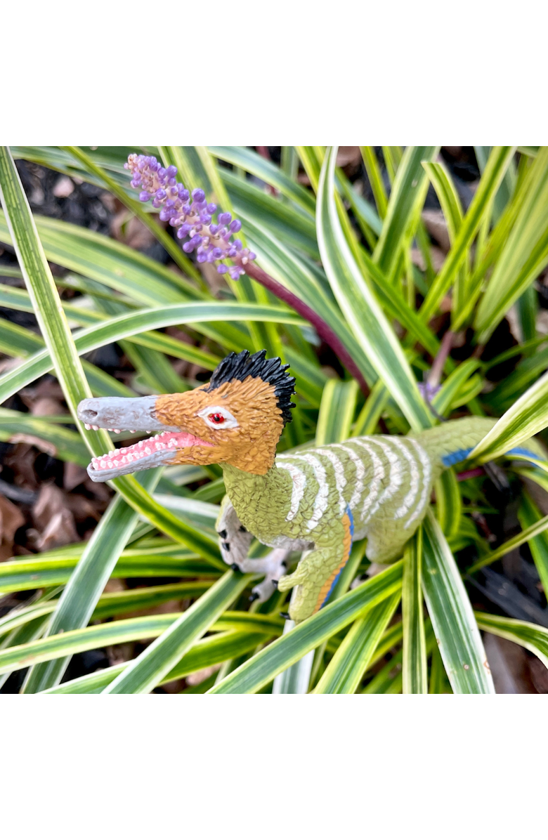Safari Ltd. Austroraptor Toy, Alternate, color, NO COLOR