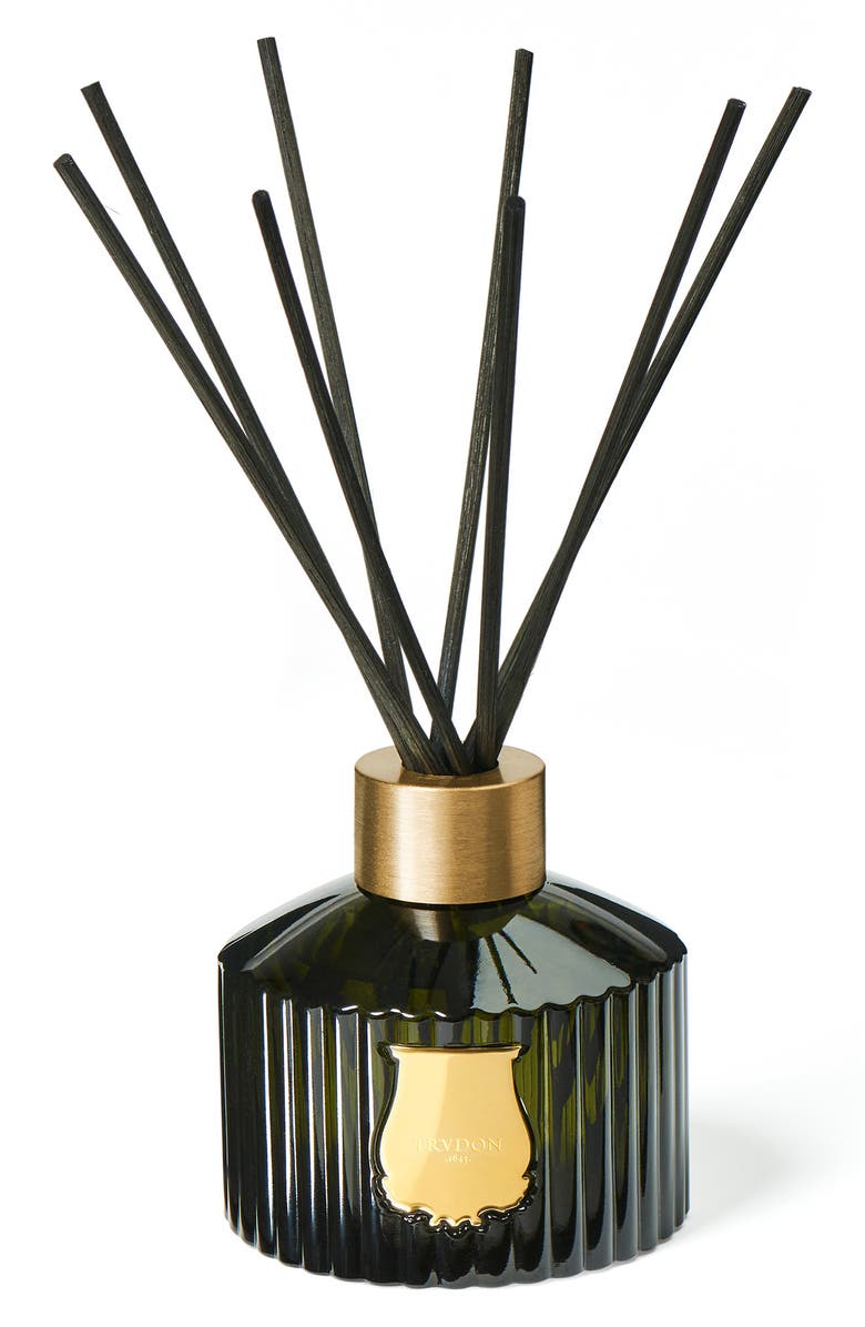 Trudon Ernesto Leather & Tobacco Diffuser, Main, color, 