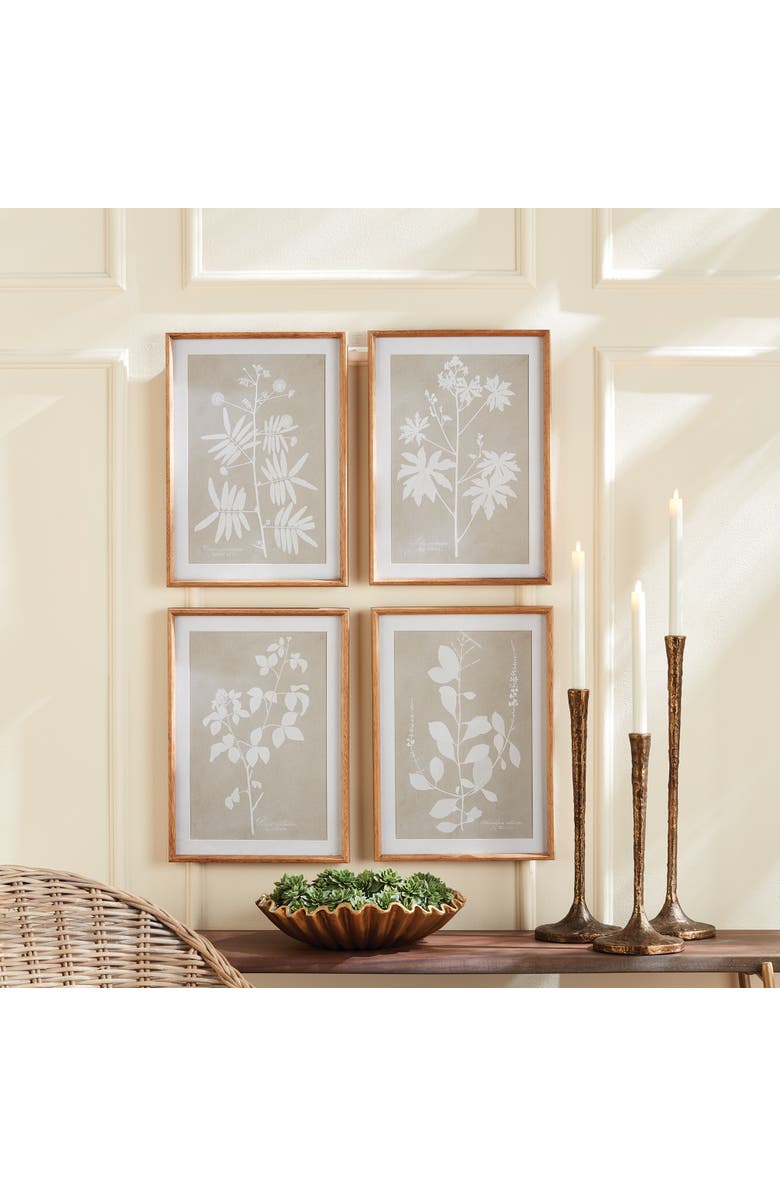 Napa Home & Garden Foliage Study Set of 4, Alternate, color, Grey