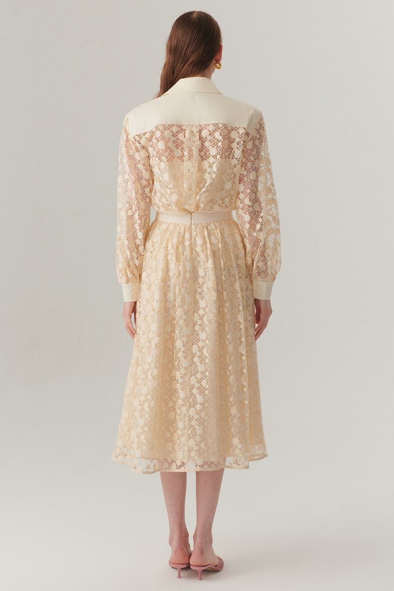 Cotton Lace Detail Regular Fit Midi Skirt, Alternate, color, Ecru