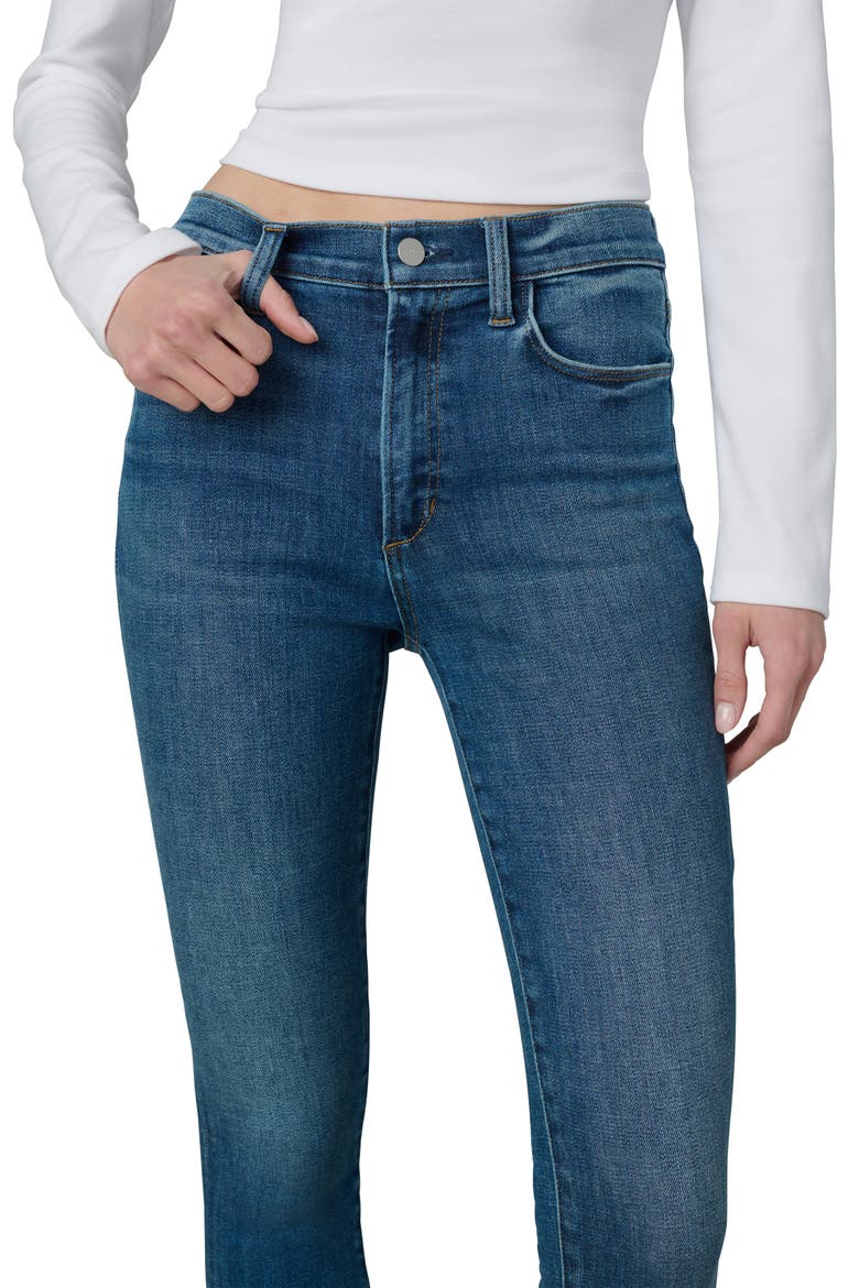 The Charlie Ankle Skinny Jeans, Alternate, color, CRAVE