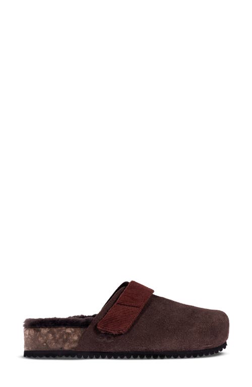Fleks Puente Genuine Shearling Lined Clog In Brown
