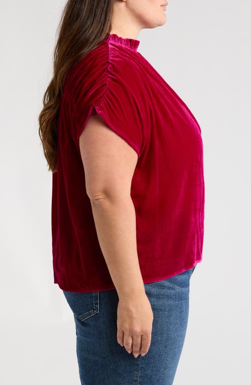 Wit & Wisdom Ruffle Velvet Top