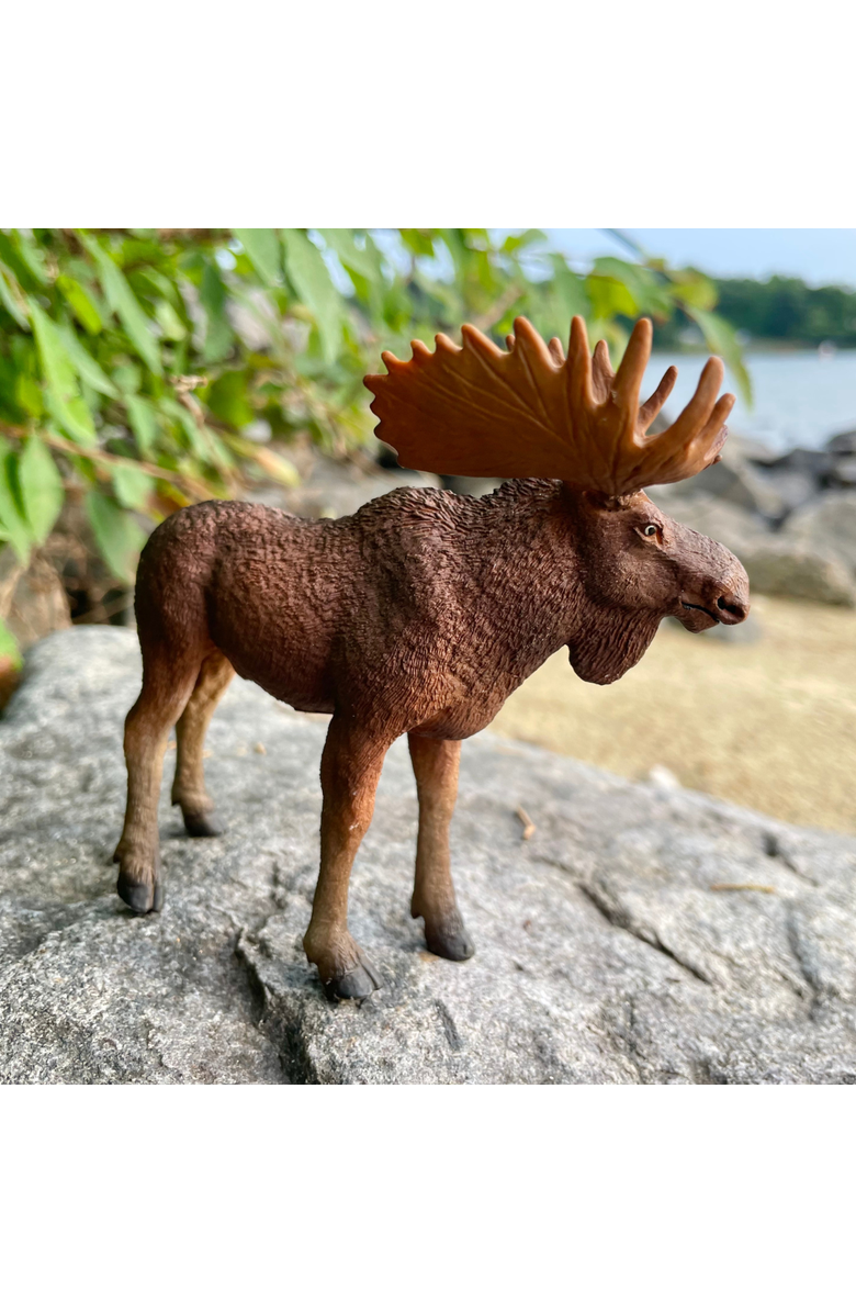 Safari Ltd. Bull Moose Kids Toy Figure, Alternate, color, NO COLOR