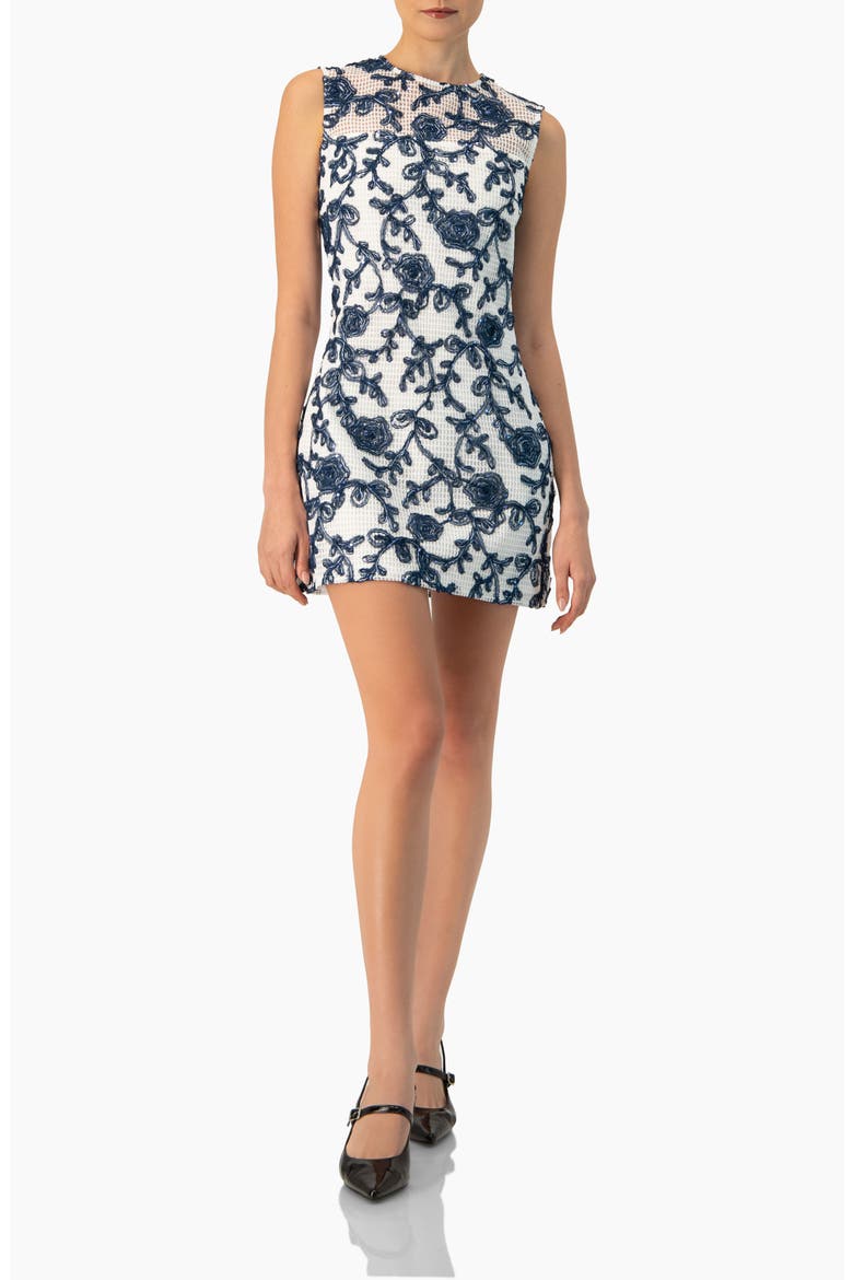 Sleeveless Embroidered A-Line Dress, Alternate, color, White