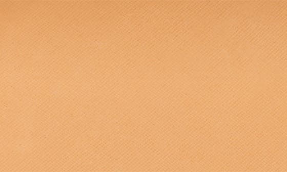 6C1 RICH COCOA