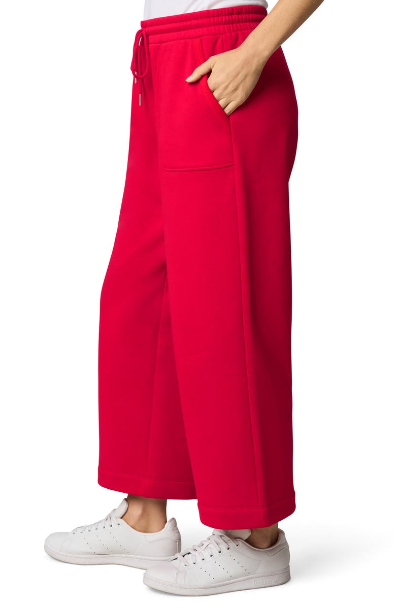 Splendid Goldie Sweatpants, Alternate, color, Rouge Red