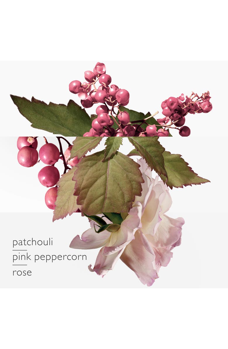 Hermès Twilly d'Hermès Eau Poivrée & Eau de Parfum Set, Alternate, color,