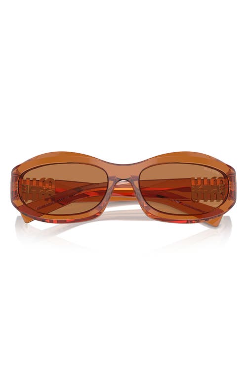 Miu Miu Transparent Sunglasses In Caramel