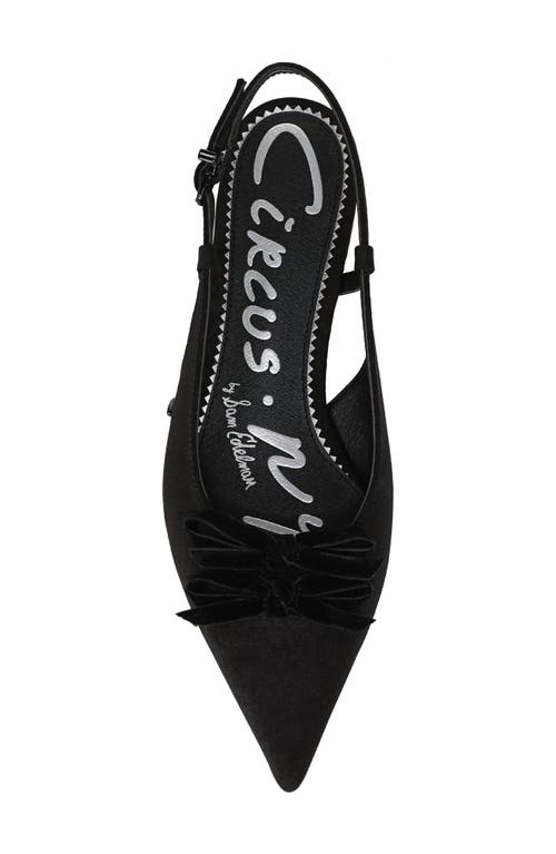 Circus Ny By Sam Edelman Delanie Pointed Toe Slingback Flat In Black