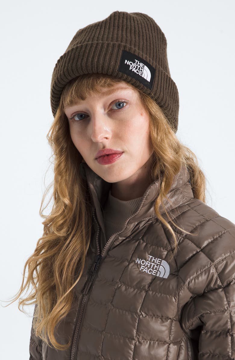 The North Face Salty Dog Beanie, Alternate, color, Smokey Brown