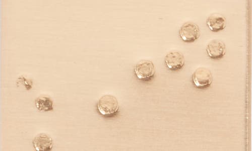 Set & Stones Zodiac Constellation Pendant Necklace In Gold