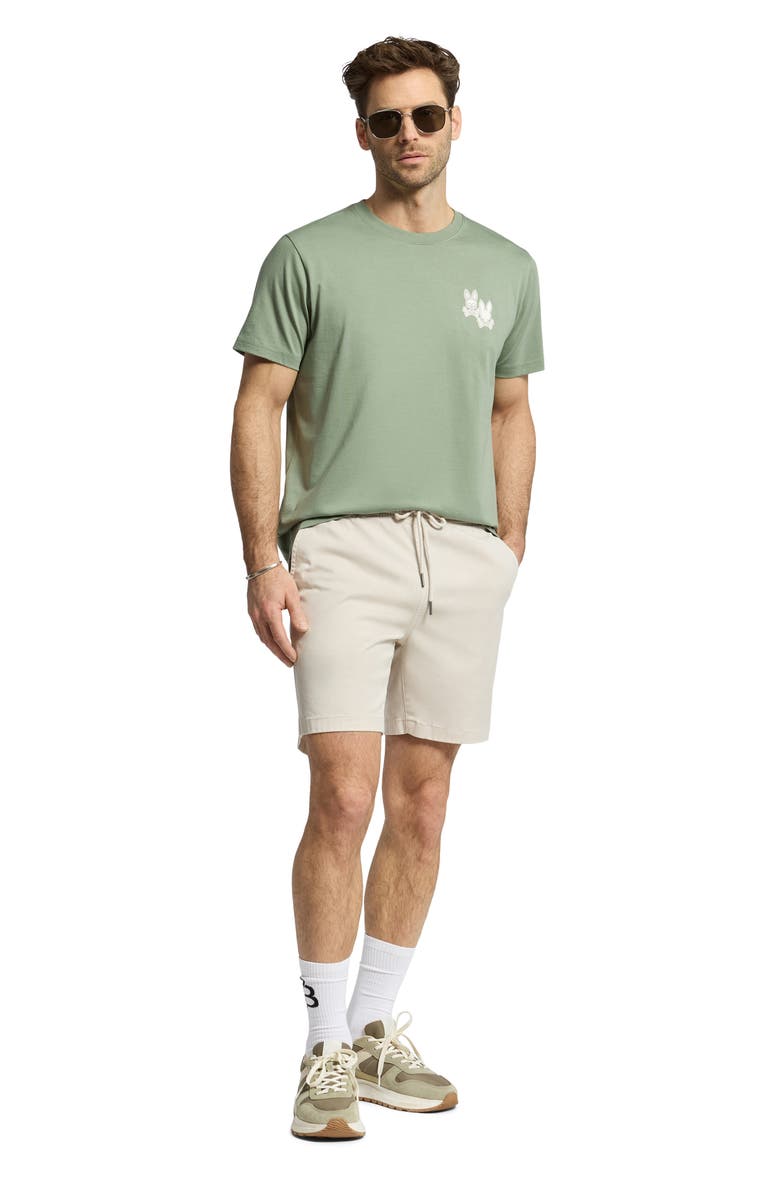 Psycho Bunny Elliot Pima Cotton Graphic T-Shirt, Alternate, color, Sea Spray