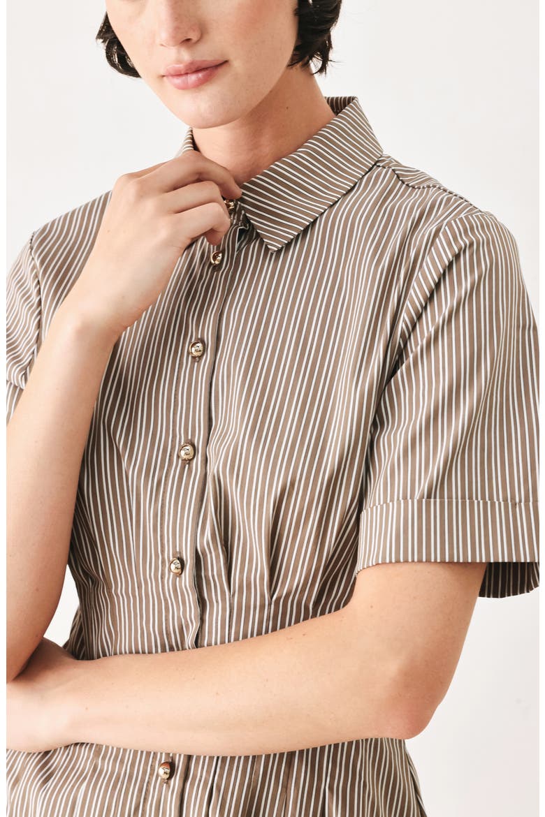 Pleated Mini Shirtdress, Alternate, color, TAUPE MULTI