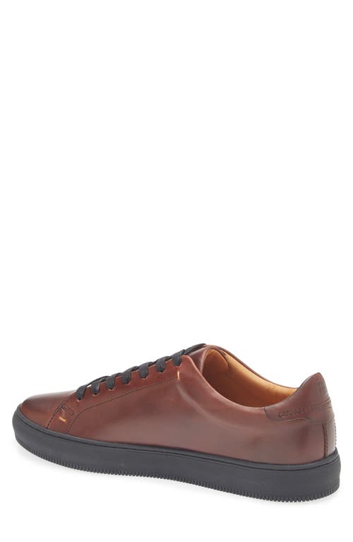 Frye Astor Sneaker In Mahogany